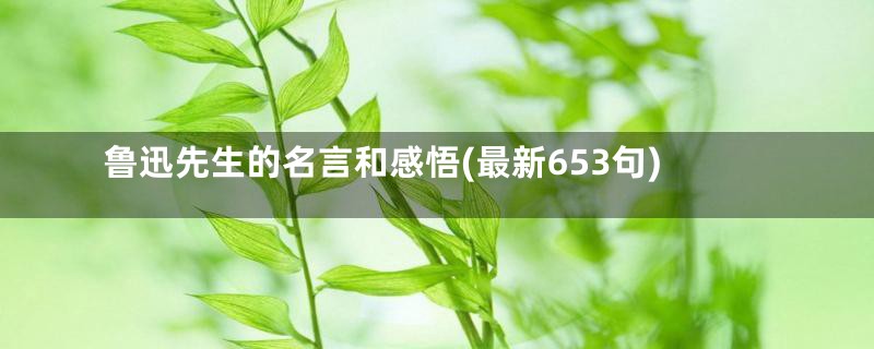 鲁迅先生的名言和感悟(最新653句)