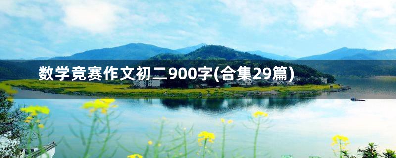 数学竞赛作文初二900字(合集29篇)