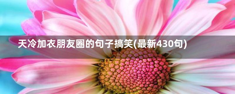 天冷加衣朋友圈的句子搞笑(最新430句)