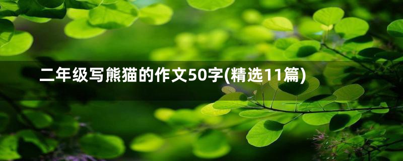 二年级写熊猫的作文50字(精选11篇)