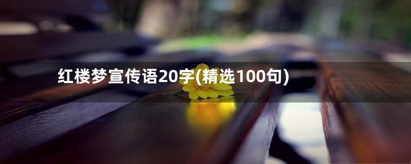 红楼梦宣传语20字(精选100句)