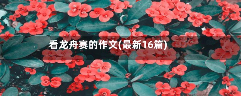 看龙舟赛的作文(最新16篇)