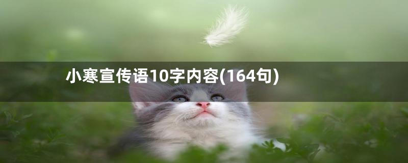 小寒宣传语10字内容(164句)