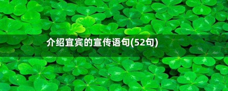 介绍宜宾的宣传语句(52句)