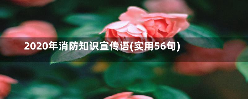 2020年消防知识宣传语(实用56句)