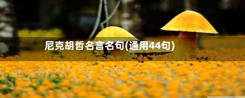 尼克胡哲名言名句(通用44句)