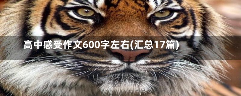 高中感受作文600字左右(汇总17篇)