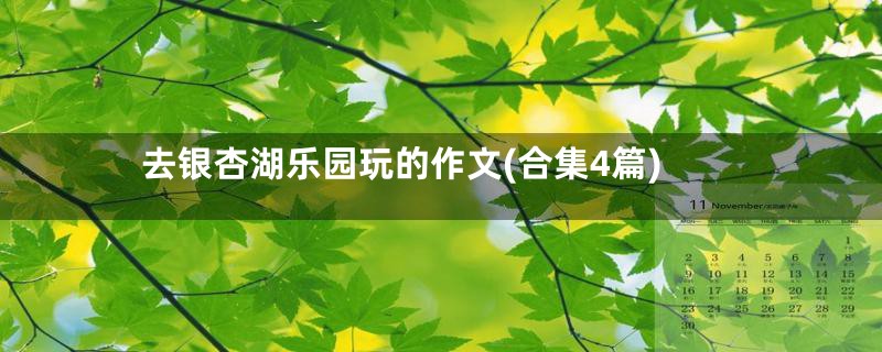 去银杏湖乐园玩的作文(合集4篇)