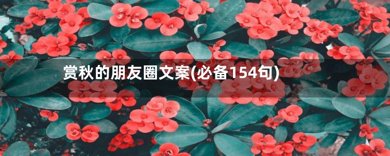 赏秋的朋友圈文案(必备154句)