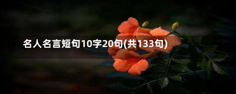 名人名言短句10字20句(共133句)