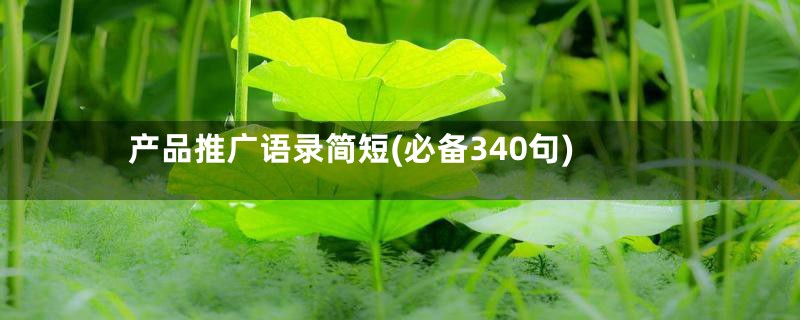 产品推广语录简短(必备340句)