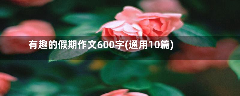 有趣的假期作文600字(通用10篇)