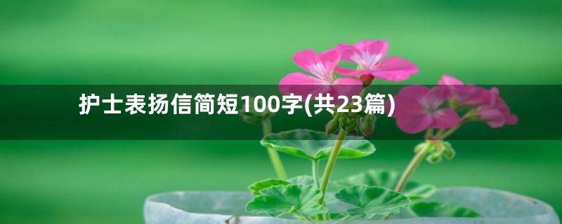 护士表扬信简短100字(共23篇)