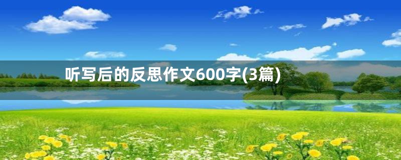 听写后的反思作文600字(3篇)