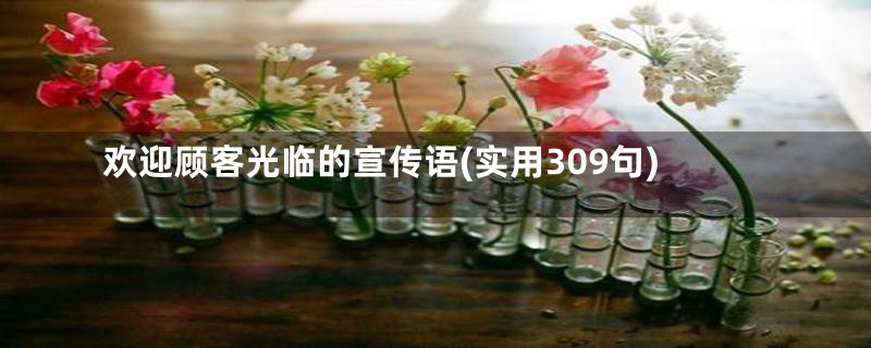 欢迎顾客光临的宣传语(实用309句)