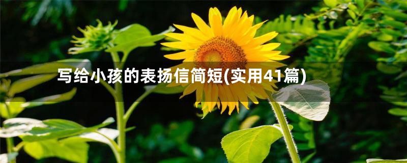 写给小孩的表扬信简短(实用41篇)