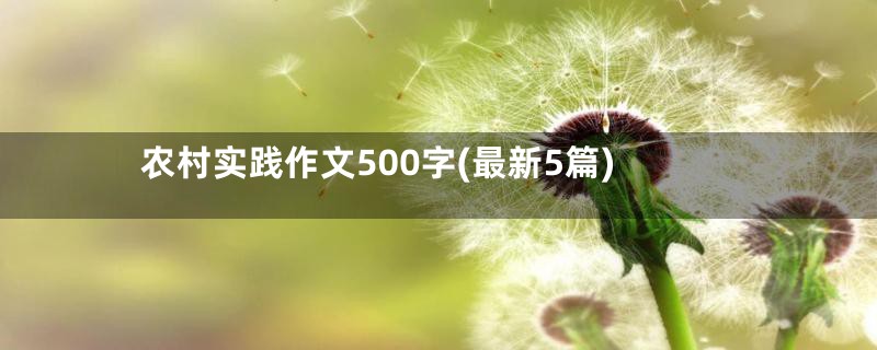 农村实践作文500字(最新5篇)