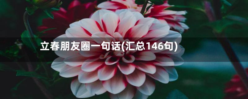 立春朋友圈一句话(汇总146句)