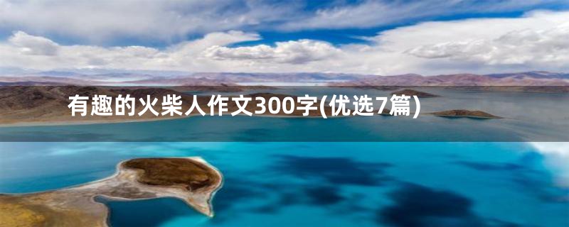 有趣的火柴人作文300字(优选7篇)