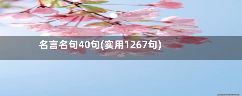 名言名句40句(实用1267句)