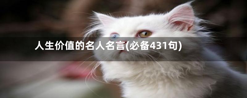 人生价值的名人名言(必备431句)