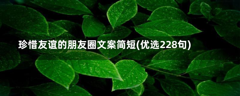 珍惜友谊的朋友圈文案简短(优选228句)