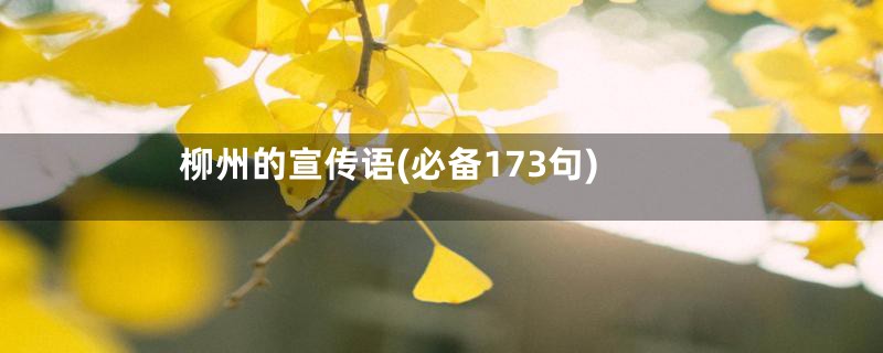 柳州的宣传语(必备173句)