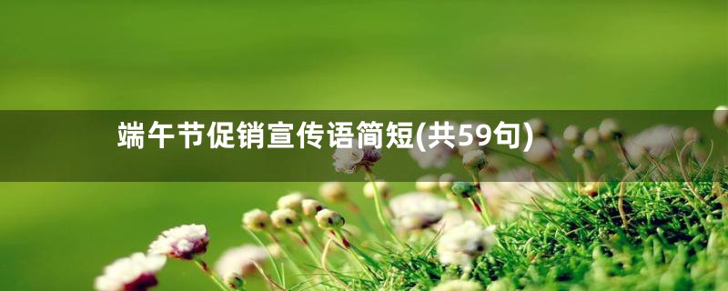 端午节促销宣传语简短(共59句)