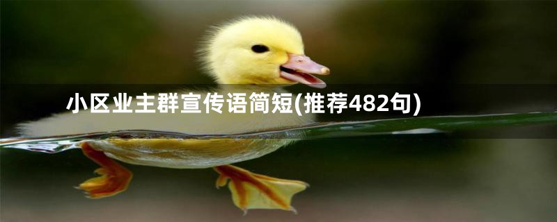 小区业主群宣传语简短(推荐482句)