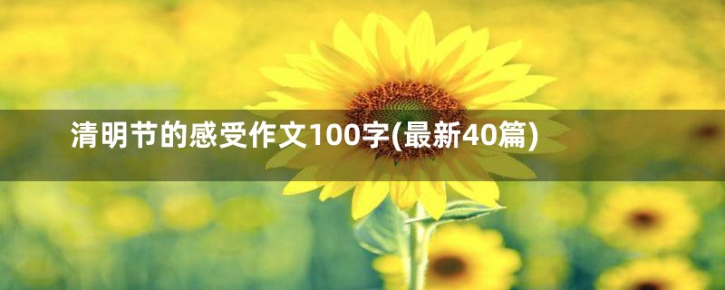 清明节的感受作文100字(最新40篇)