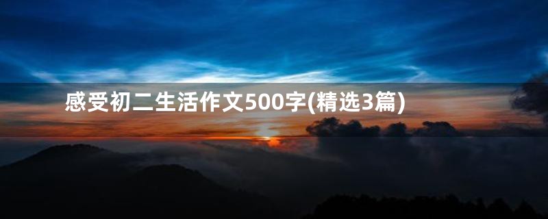 感受初二生活作文500字(精选3篇)