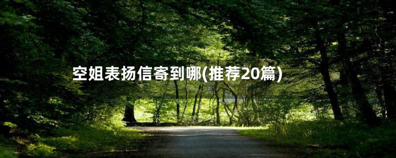 空姐表扬信寄到哪(推荐20篇)