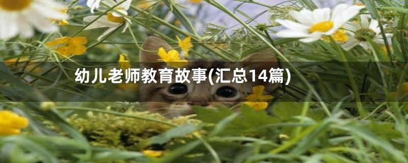 幼儿老师教育故事(汇总14篇)