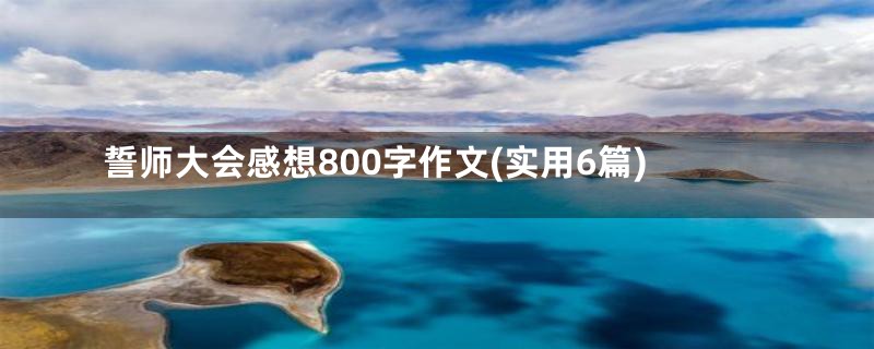 誓师大会感想800字作文(实用6篇)