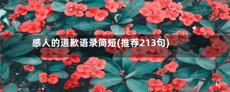 感人的道歉语录简短(推荐213句)