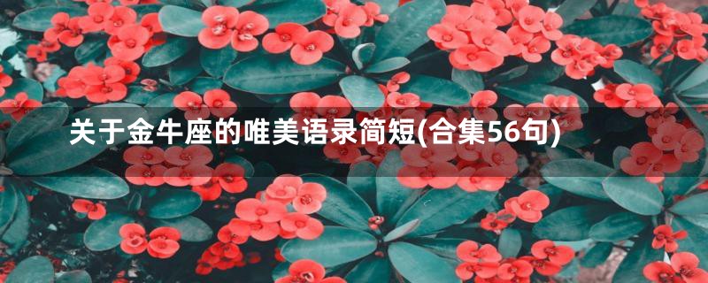 关于金牛座的唯美语录简短(合集56句)