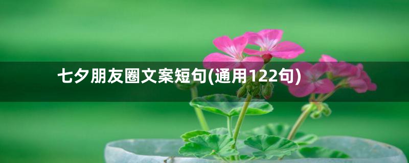 七夕朋友圈文案短句(通用122句)