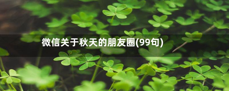 微信关于秋天的朋友圈(99句)