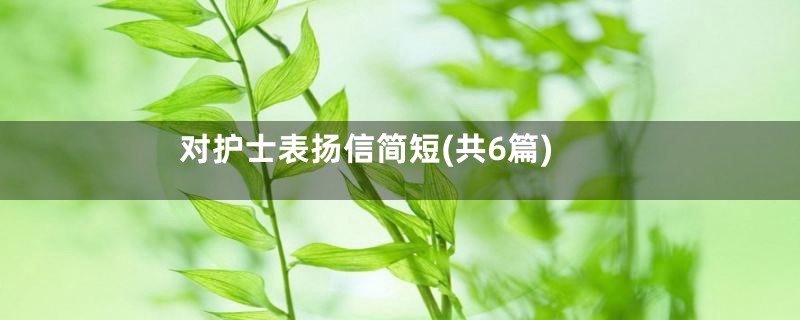 对护士表扬信简短(共6篇)