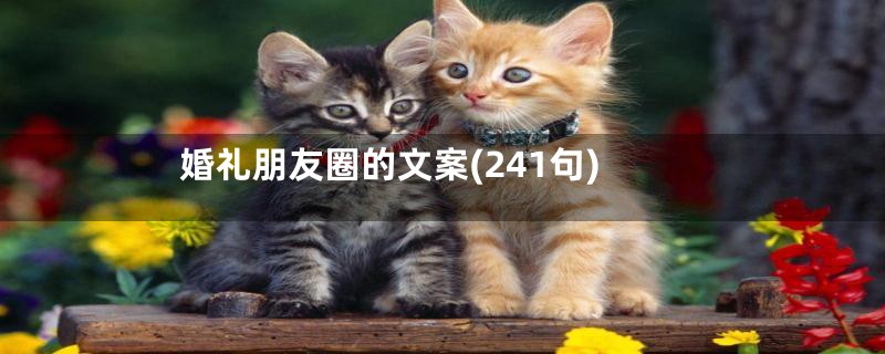 婚礼朋友圈的文案(241句)