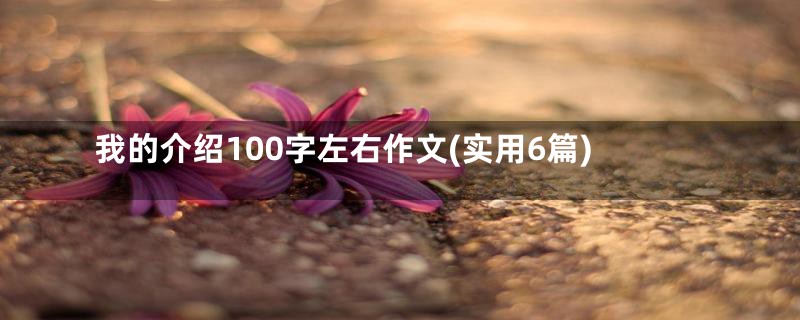 我的介绍100字左右作文(实用6篇)