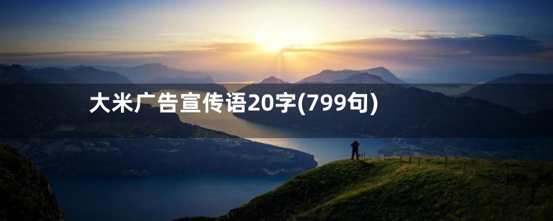 大米广告宣传语20字(799句)