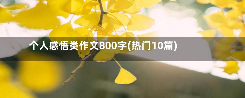 个人感悟类作文800字(热门10篇)