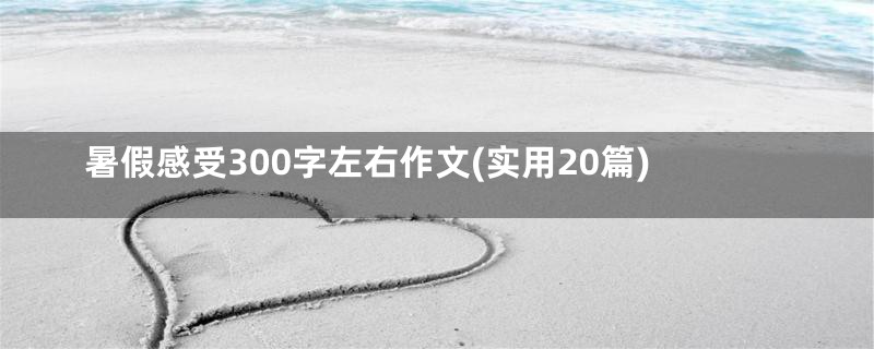 暑假感受300字左右作文(实用20篇)