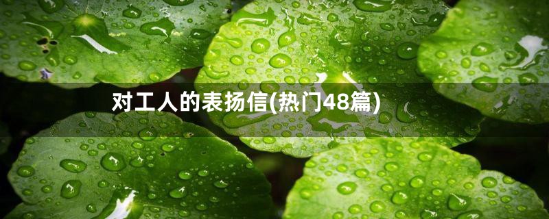 对工人的表扬信(热门48篇)