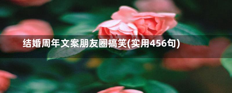 结婚周年文案朋友圈搞笑(实用456句)