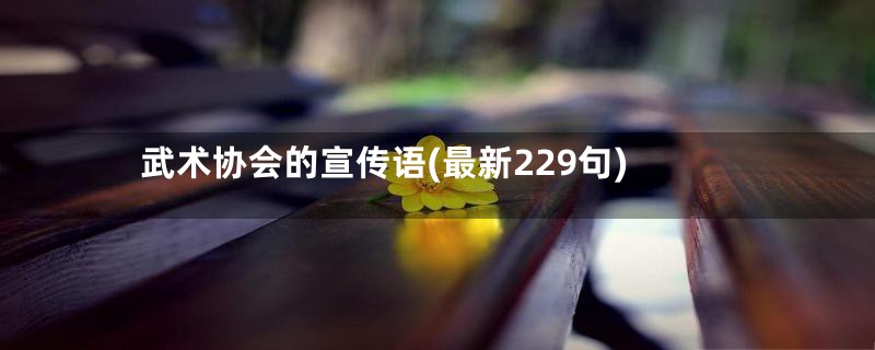 武术协会的宣传语(最新229句)