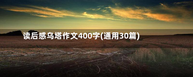 读后感乌塔作文400字(通用30篇)