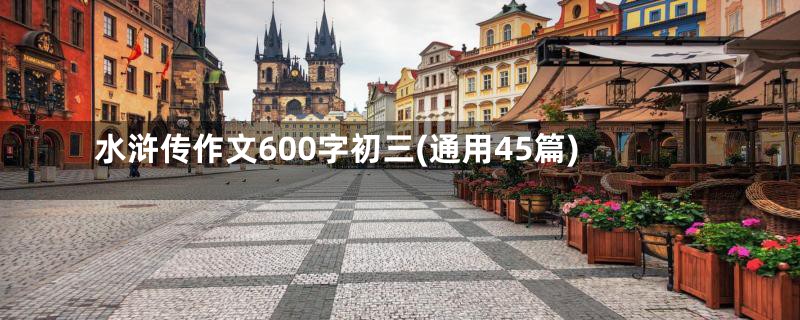 水浒传作文600字初三(通用45篇)