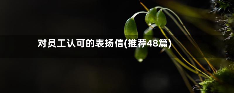 对员工认可的表扬信(推荐48篇)